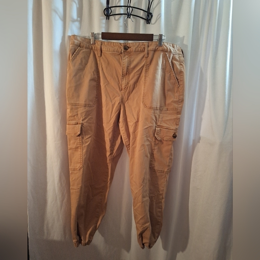 Terra & Sky Tan Track Pants with Cotton Blend